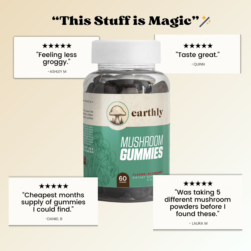 Functional Mushroom Daily Gummies